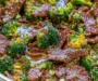 Cozy Beef and Broccoli